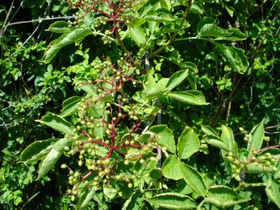 Wojsławickie Klimaty - galeria zdjęć